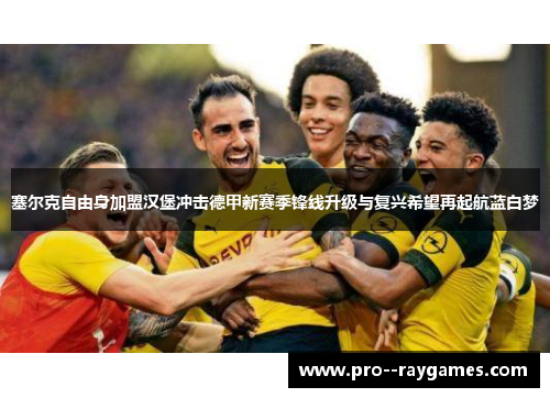 塞尔克自由身加盟汉堡冲击德甲新赛季锋线升级与复兴希望再起航蓝白梦