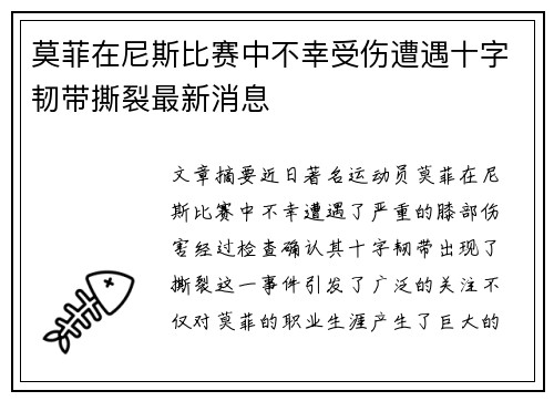 莫菲在尼斯比赛中不幸受伤遭遇十字韧带撕裂最新消息 莫菲在尼斯比赛中不幸受伤遭遇十字韧带撕裂最新消息